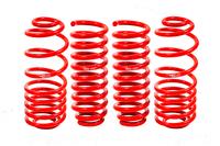 2002-2009 Trailblazer Lowering Springs